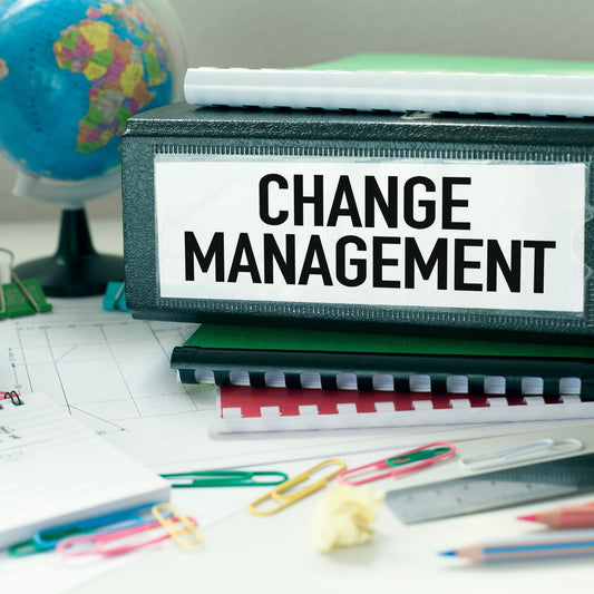 Change Management Strategy