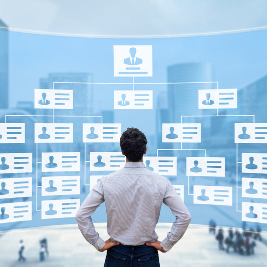 Organizational Structure Consulting
